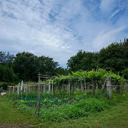 Apartment Almademencia *