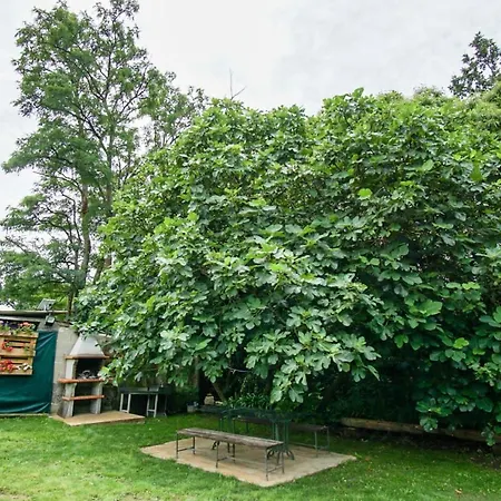 Apartment Almademencia Pontevedra