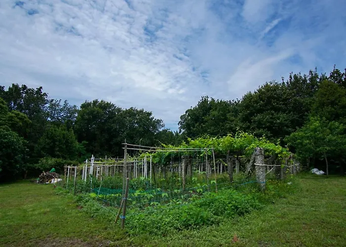 Διαμέρισμα Almademencia *